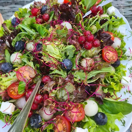 & Restauracja Timberland 호텔 Orzesze