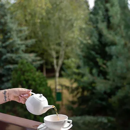 & Restauracja Timberland 호텔 Orzesze