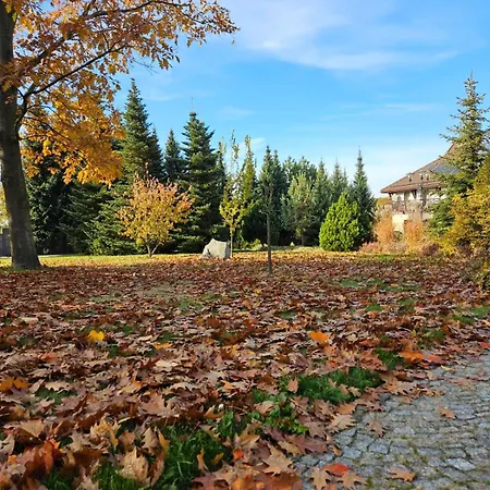 Hotel&restauracja Timberland Orzesze