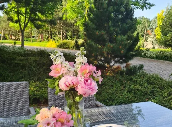 & Restauracja Timberland Orzesze