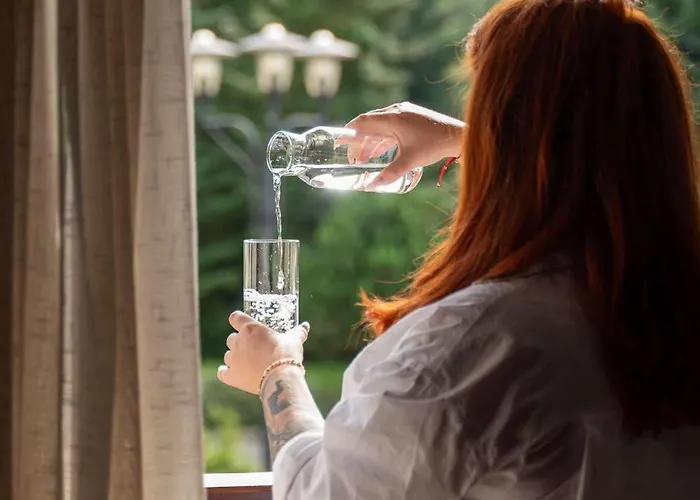 Hotel & Restauracja Timberland Orzesze