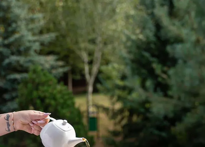 & Restauracja Timberland Hotel Orzesze