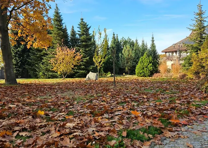 & Restauracja Timberland Orzesze