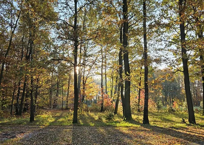 & Restauracja Timberland فندق